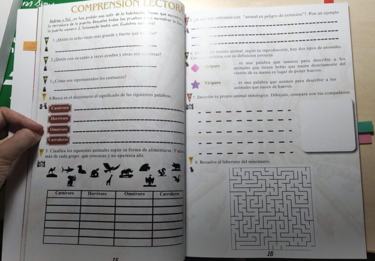 WhatsApp Image 2024-06-17 at 11.09.34